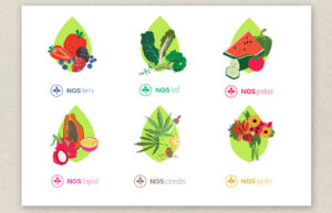 New Growing System branding