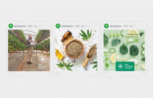 hydroponic digital design