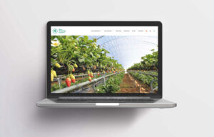 New Growing System branding