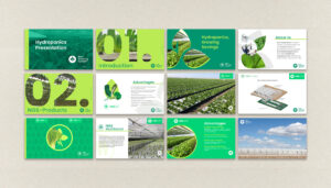 New Growing System branding